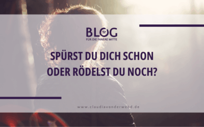 Spürst Du Dich schon oder rödelst Du noch? – Über Selbstfürsorge im Alltag