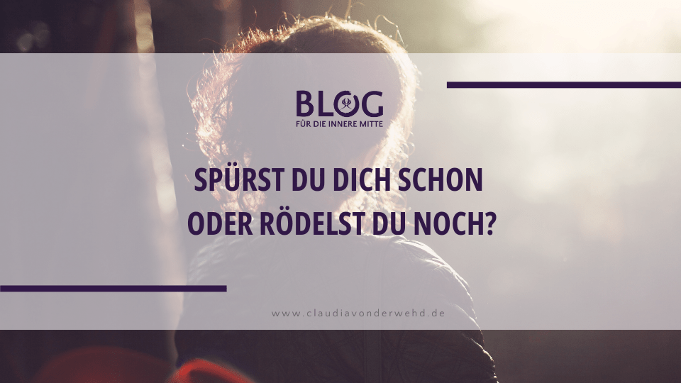Frau blickt tief durchatmend in den Wald als Symbol für Selbstfürsorge