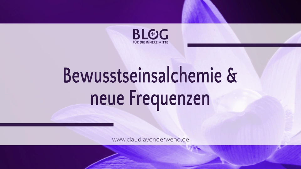 Lotus in voller Blüte mit Perle in der Mitte als Symbol für die Alchemie des Bewusstseins