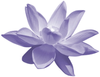 Lotusblüte mit Perle in der Mitte als Symbol für Bewusstseinswandel